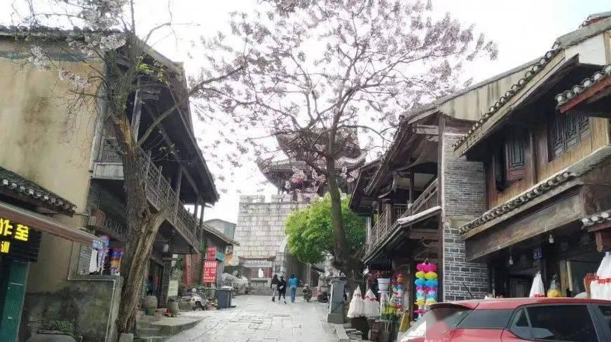 春雨直播app